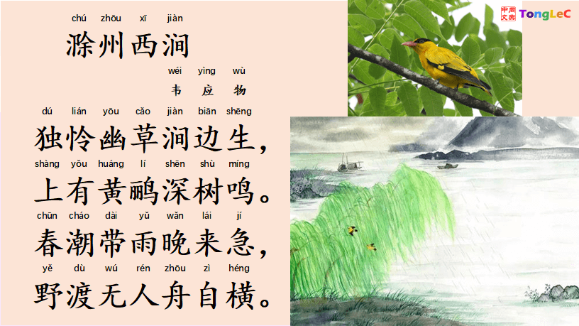 滁州西涧-SReading