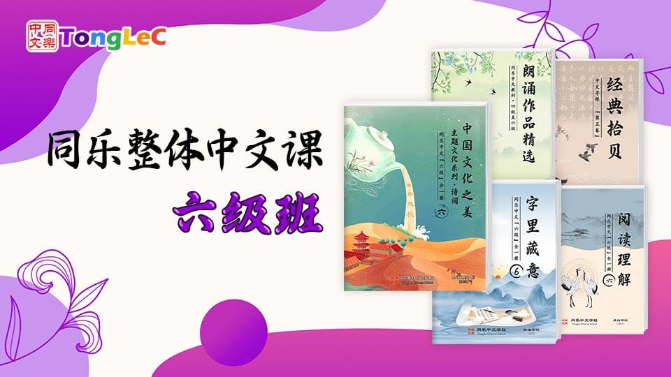 新代中文:致远版 L6